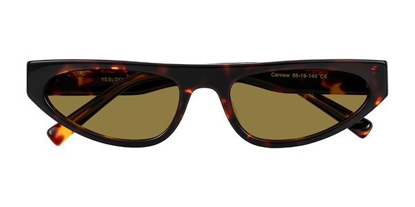 Front of Carnew in Tortoise