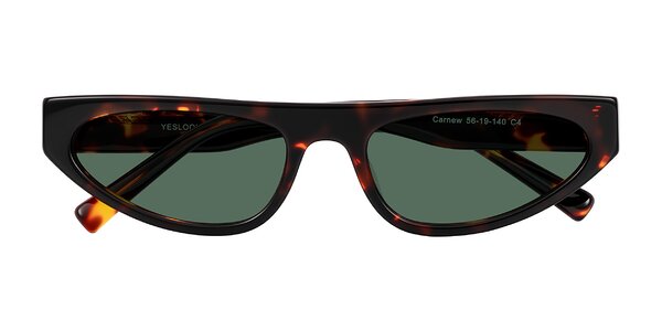 Front of Carnew in Tortoise