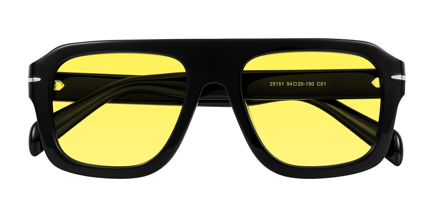 Petenwell - Black Tinted Sunglasses