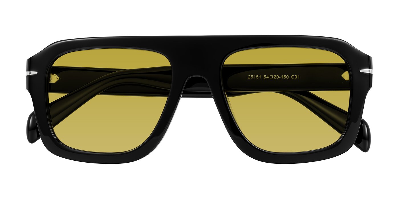 Petenwell - Black Tinted Sunglasses