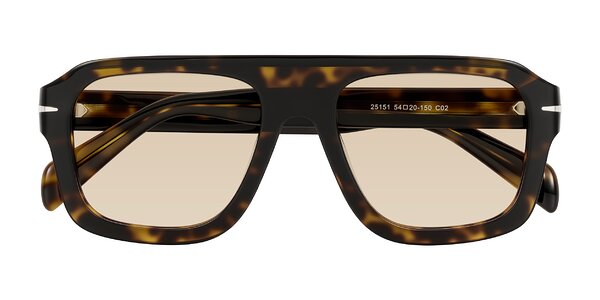 Front of Petenwell in Dark Tortoise