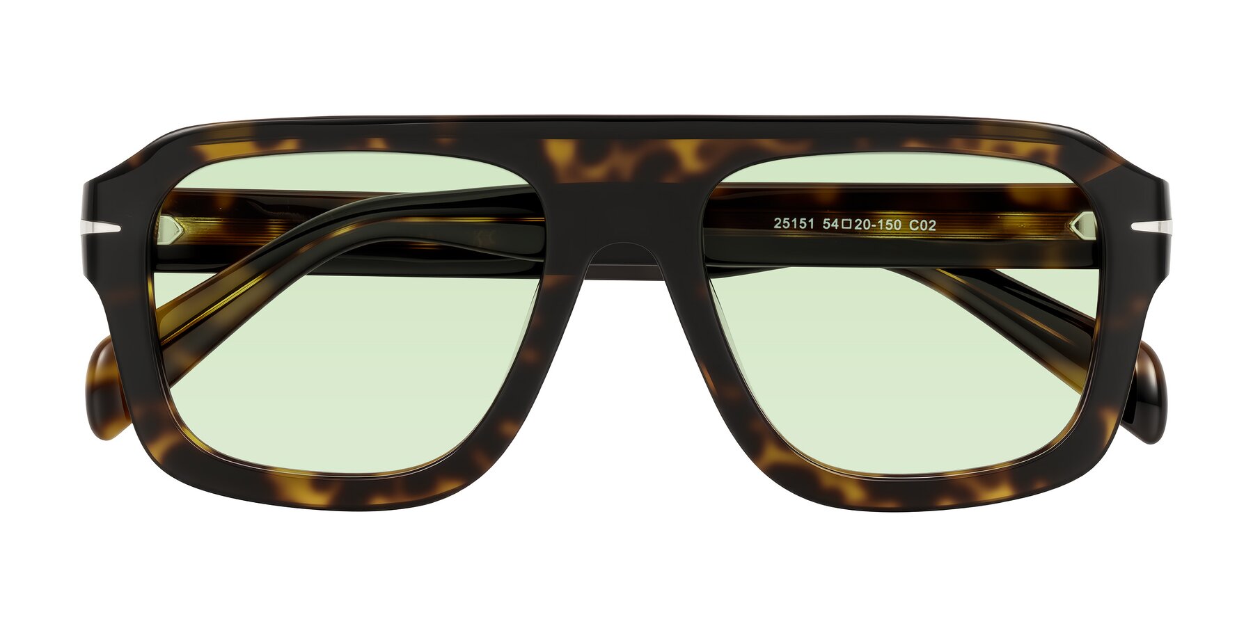 Folded Front of Petenwell in Dark Tortoise with Light Green Tinted Lenses