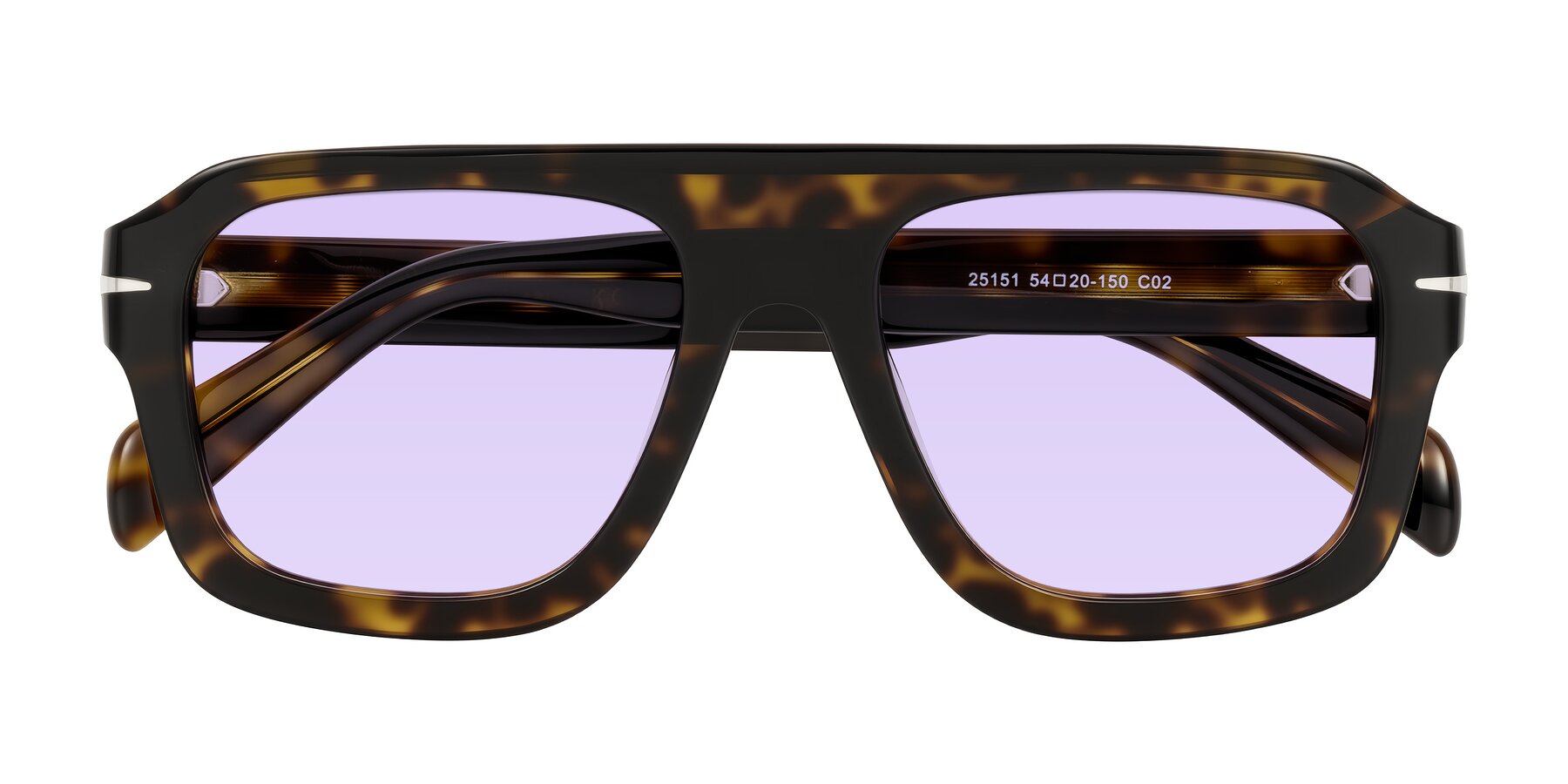 Folded Front of Petenwell in Dark Tortoise with Light Purple Tinted Lenses