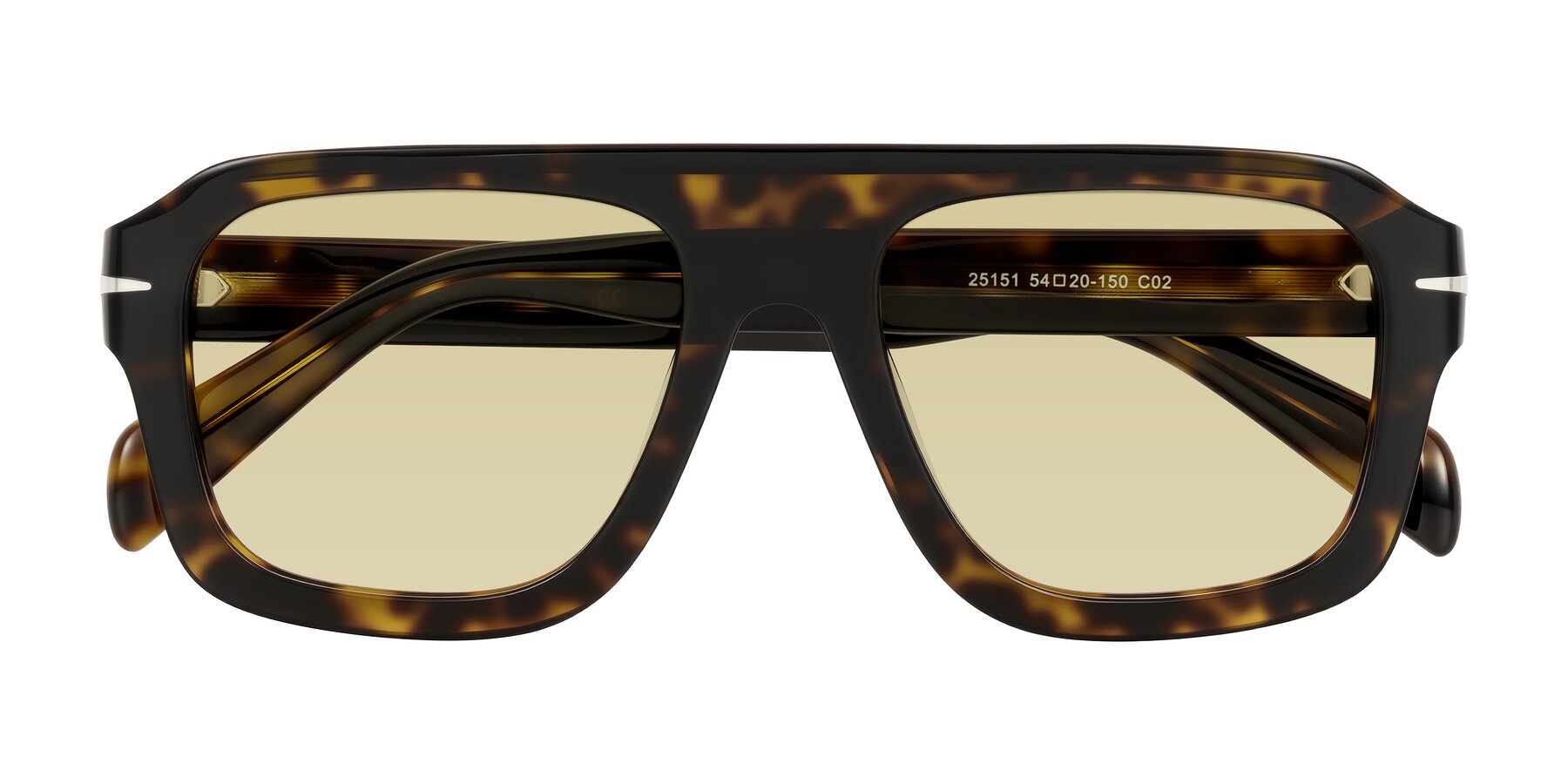 Folded Front of Petenwell in Dark Tortoise with Light Champagne Tinted Lenses