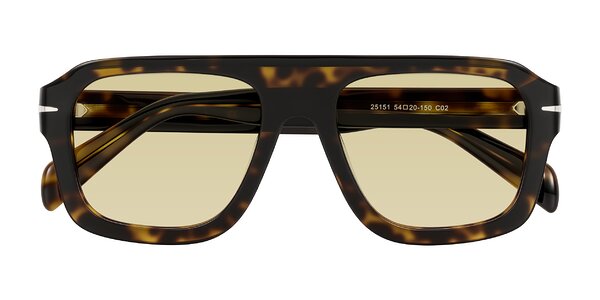 Front of Petenwell in Dark Tortoise