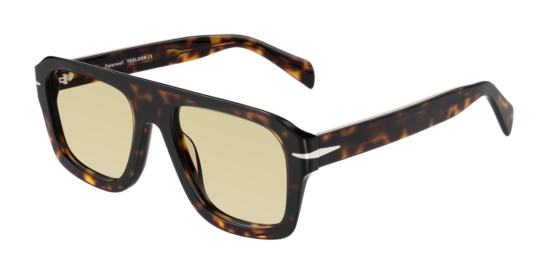 Angle of Petenwell in Dark Tortoise with Light Champagne Tinted Lenses
