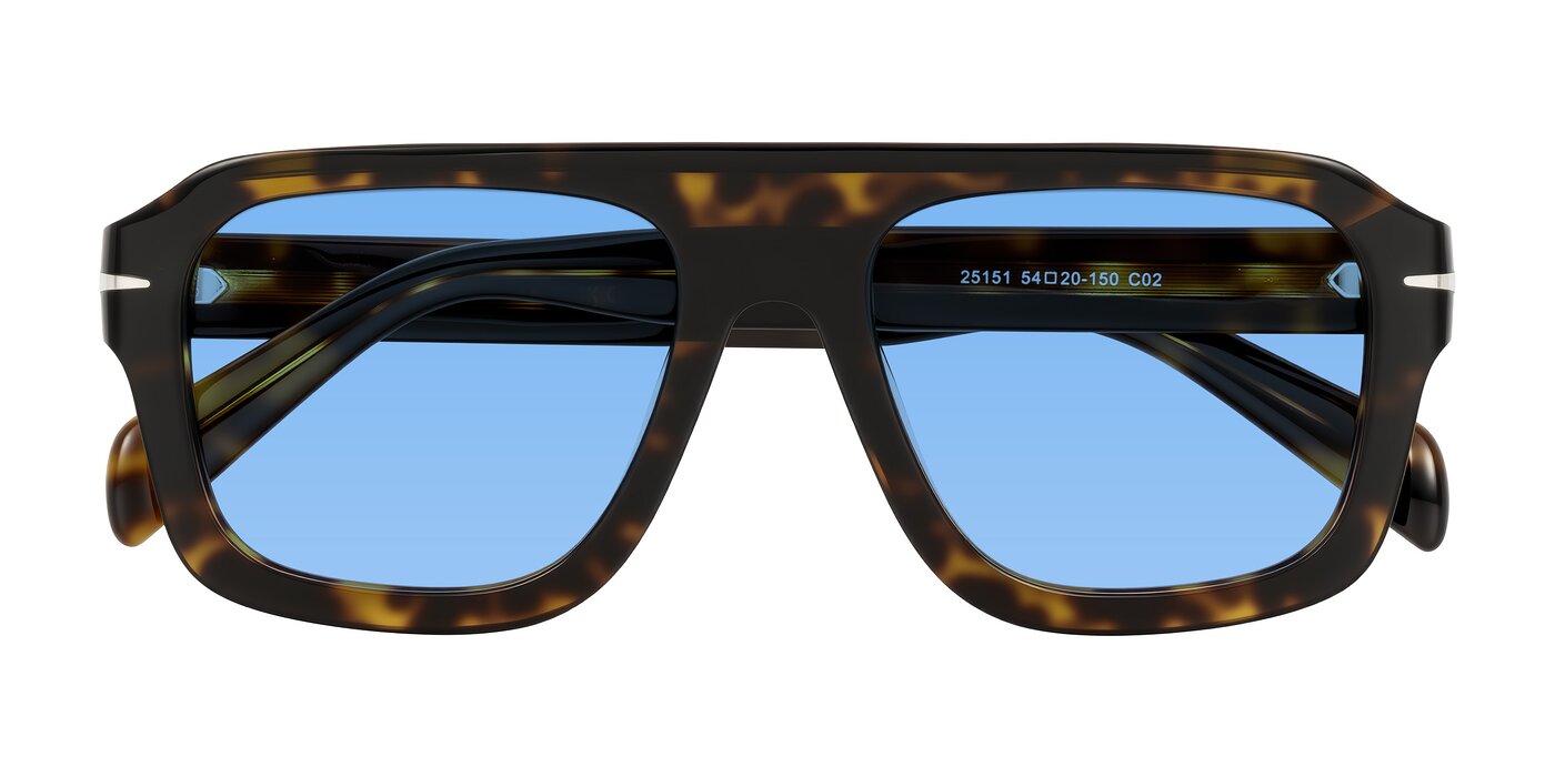 Petenwell - Dark Tortoise Tinted Sunglasses