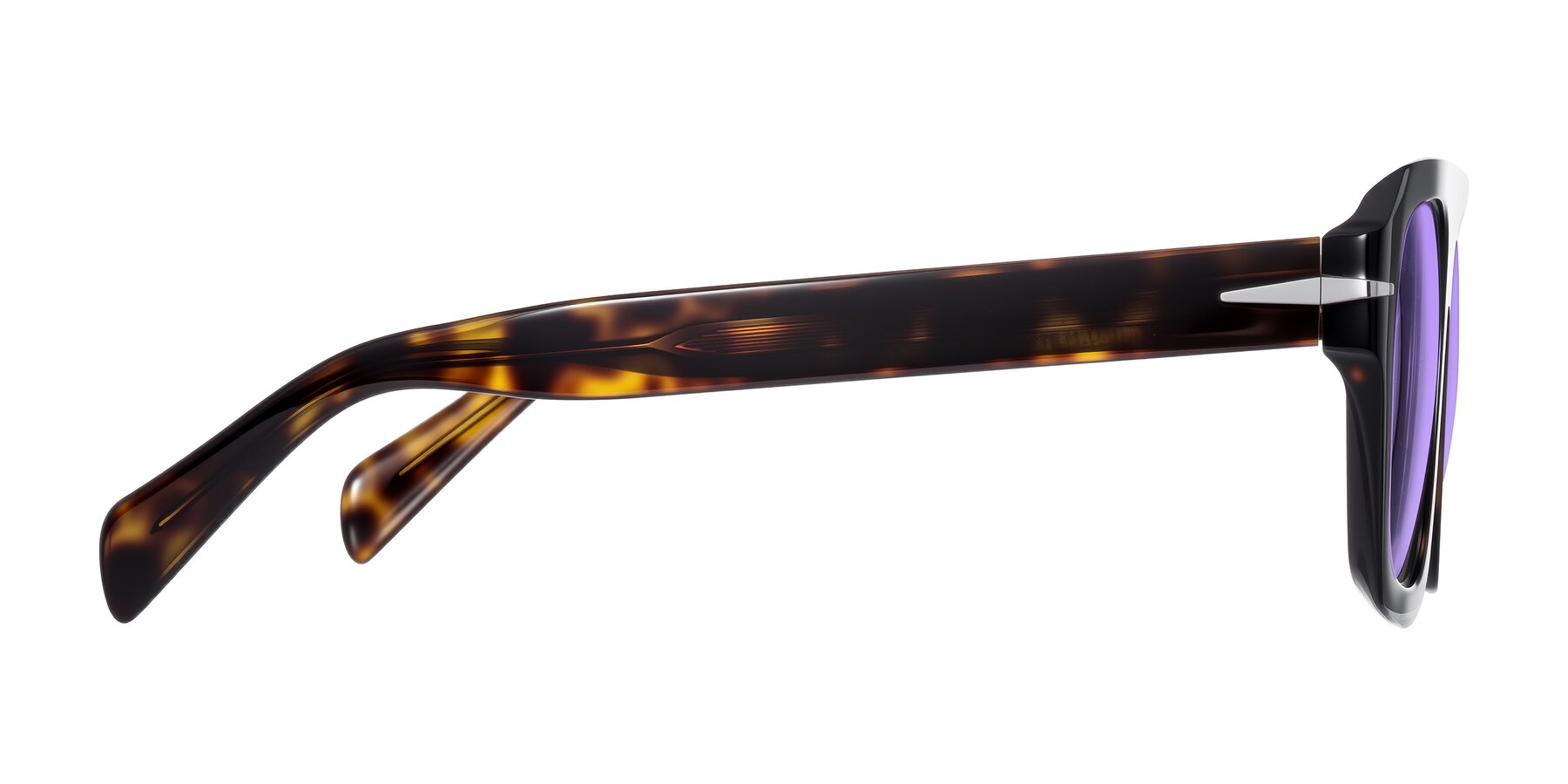Side of Petenwell in Dark Tortoise with Medium Purple Tinted Lenses