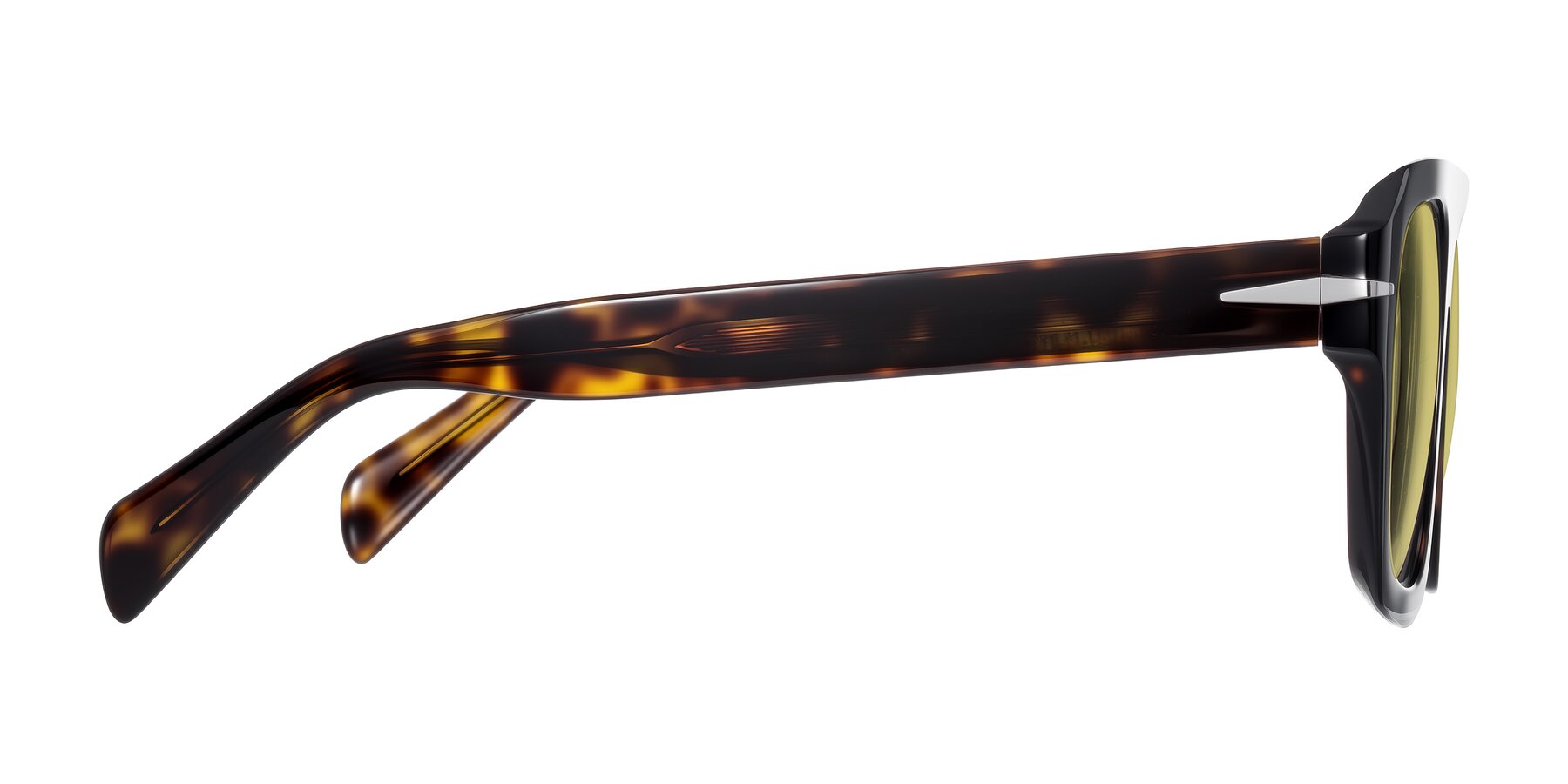 Side of Petenwell in Dark Tortoise with Medium Champagne Tinted Lenses