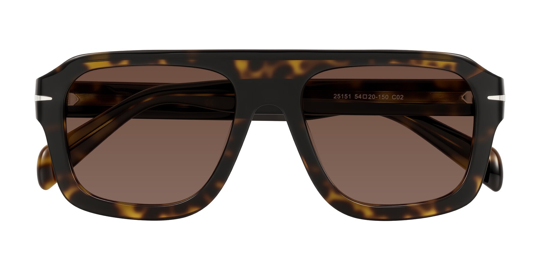 Folded Front of Petenwell in Dark Tortoise with Brown Tinted Lenses