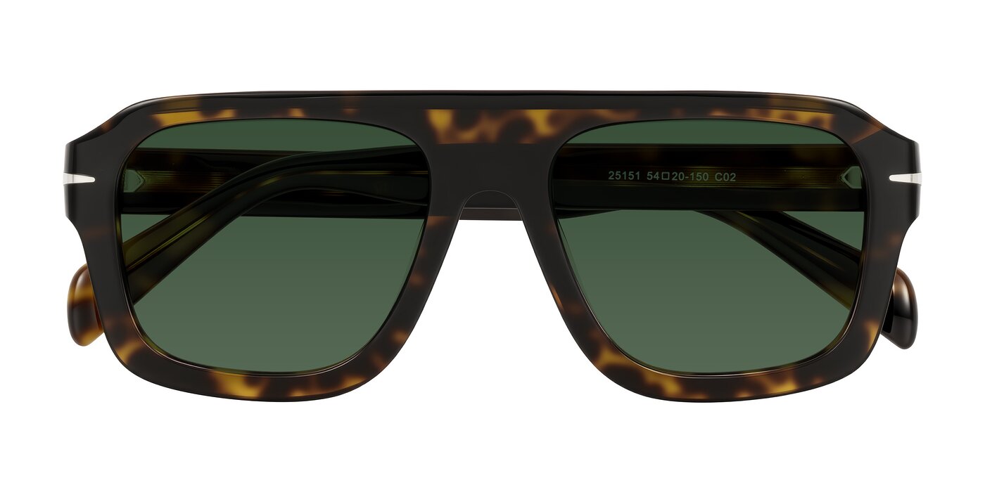 Petenwell - Dark Tortoise Tinted Sunglasses