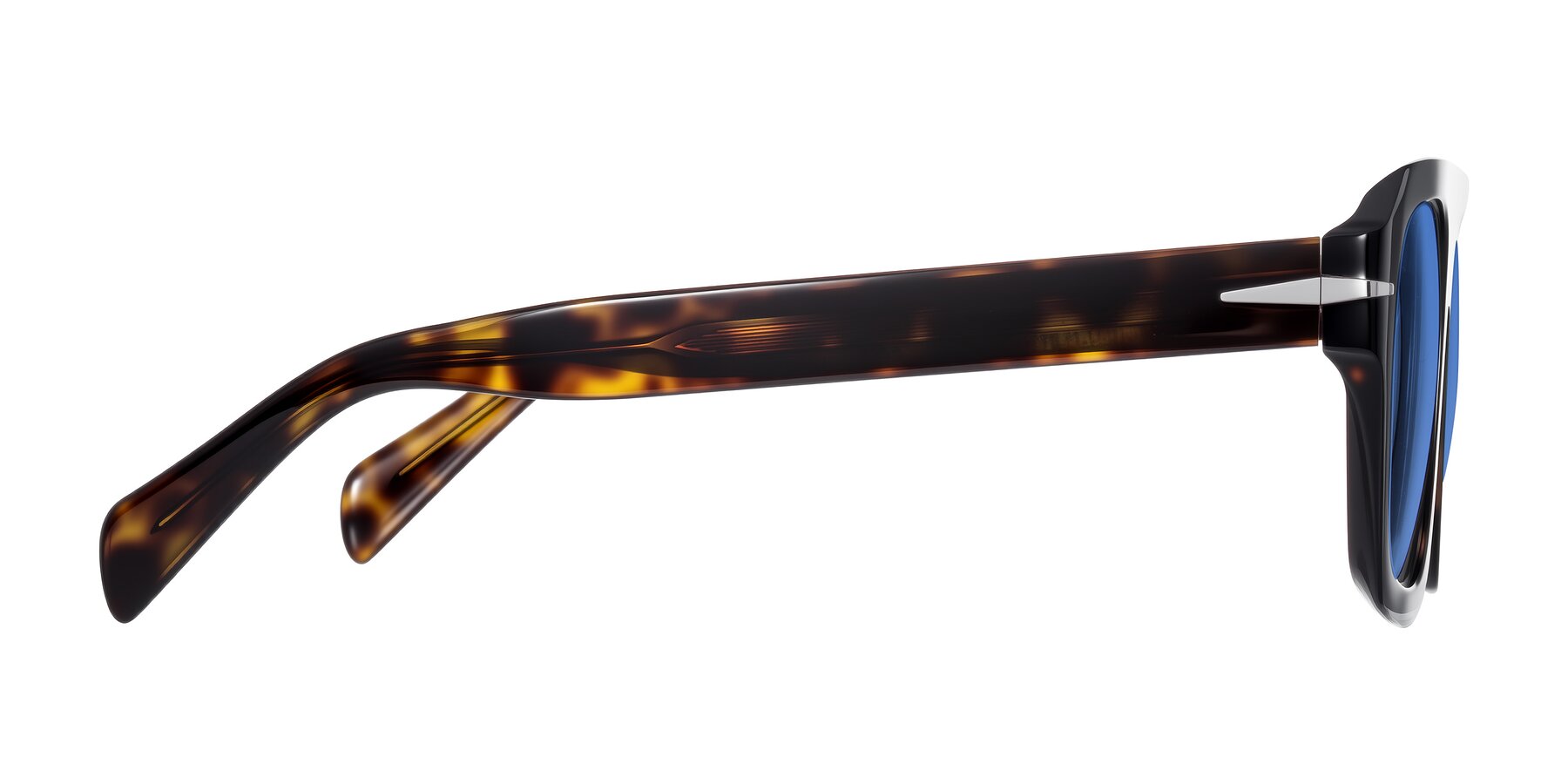 Side of Petenwell in Dark Tortoise with Blue Tinted Lenses