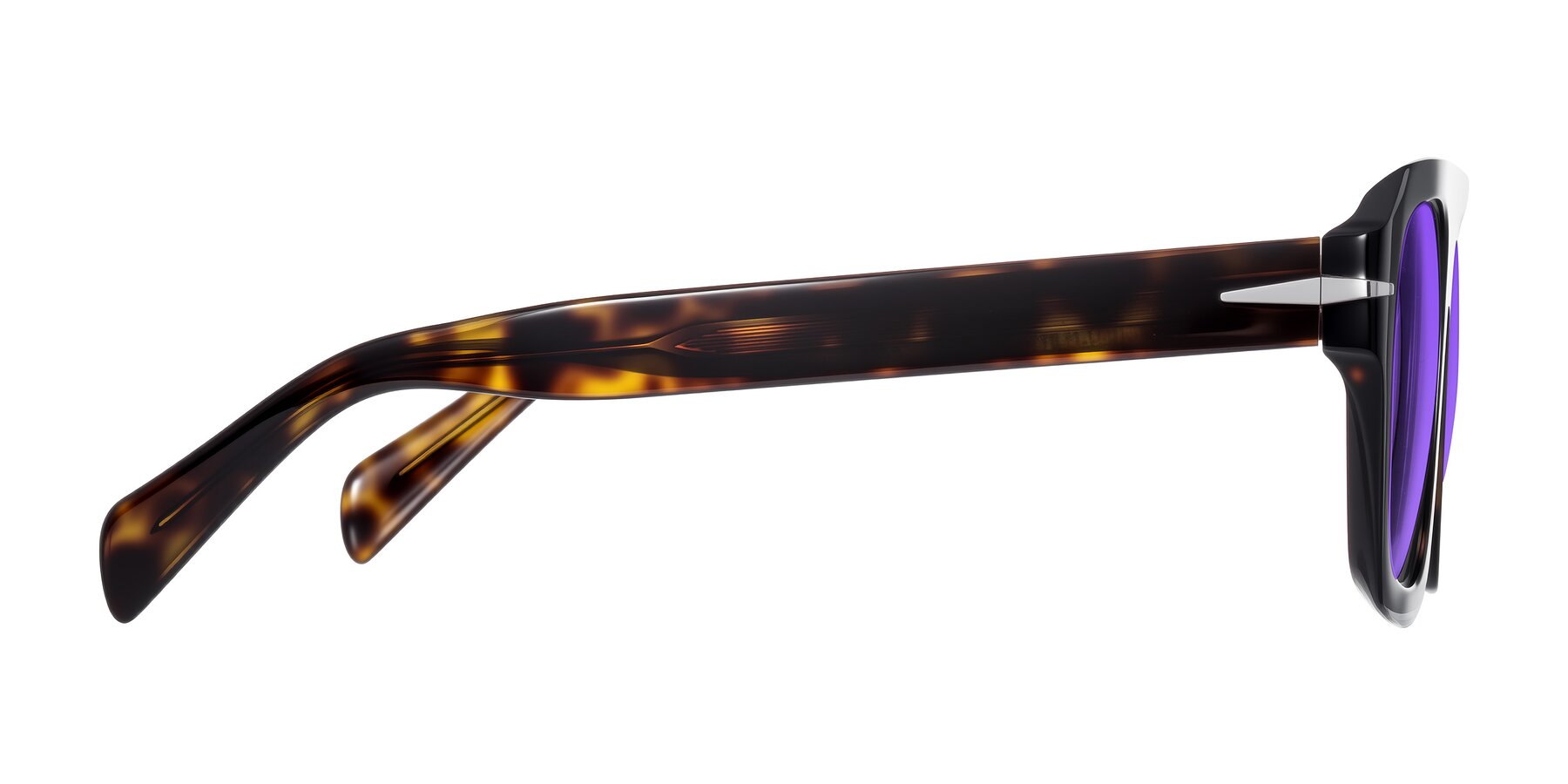 Side of Petenwell in Dark Tortoise with Purple Tinted Lenses