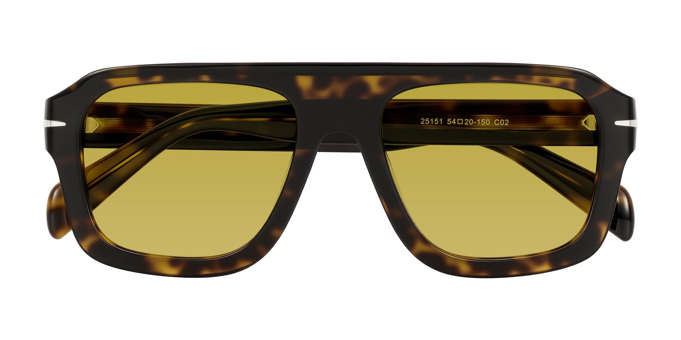 Petenwell - Dark Tortoise Tinted Sunglasses