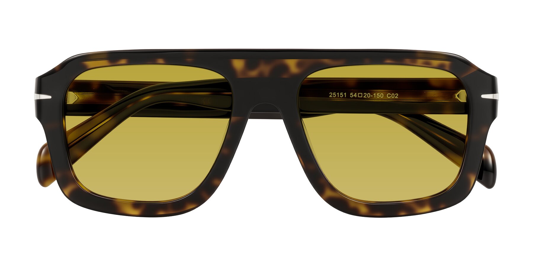 Folded Front of Petenwell in Dark Tortoise with Champagne Tinted Lenses