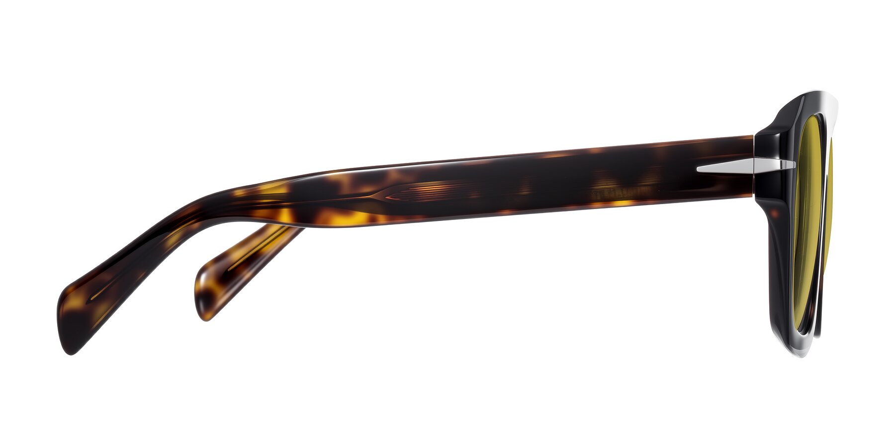 Side of Petenwell in Dark Tortoise with Champagne Tinted Lenses