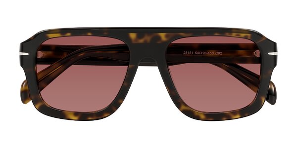 Front of Petenwell in Dark Tortoise