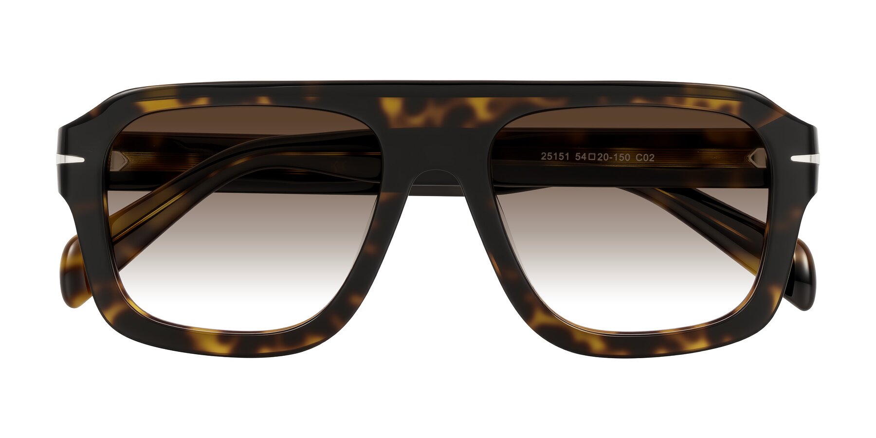 Folded Front of Petenwell in Dark Tortoise with Brown Gradient Lenses
