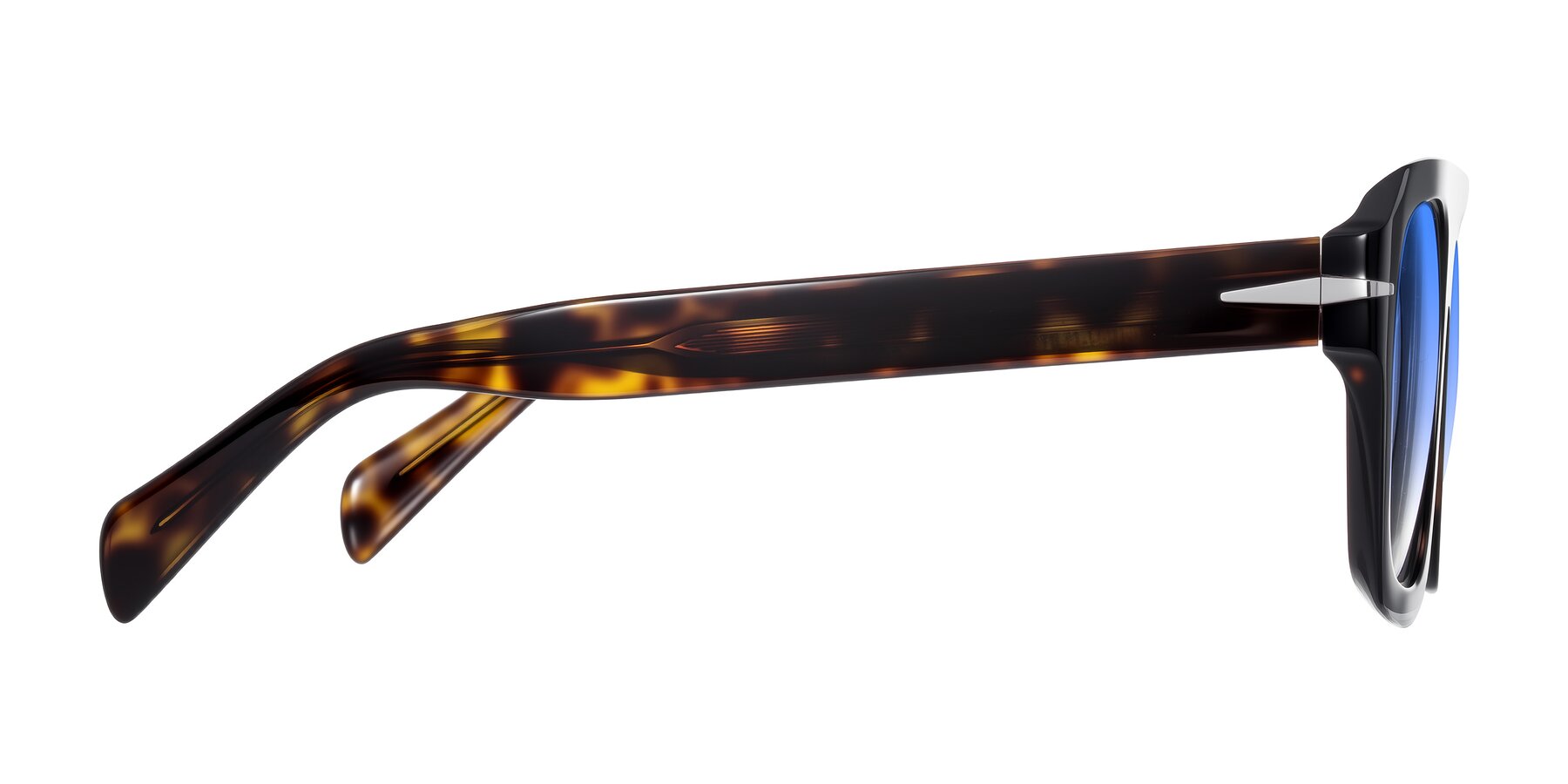 Side of Petenwell in Dark Tortoise with Blue Gradient Lenses