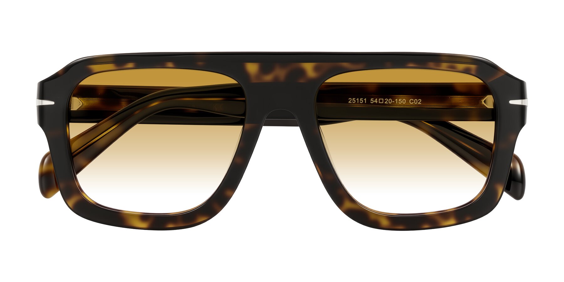 Folded Front of Petenwell in Dark Tortoise with Champagne Gradient Lenses