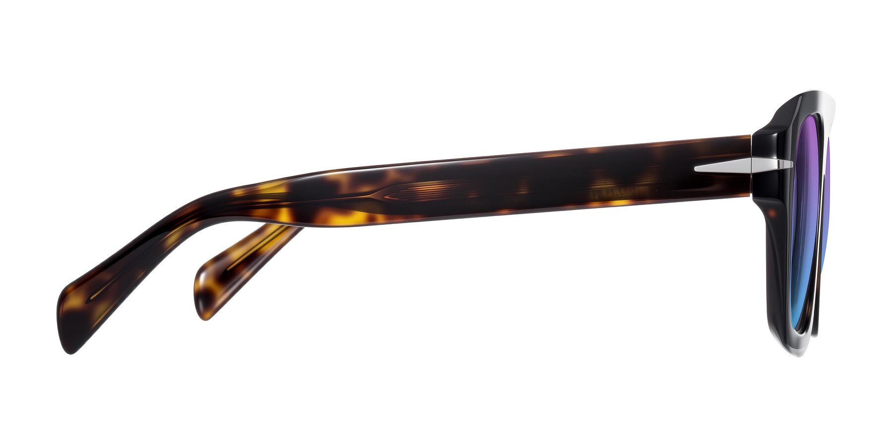 Side of Petenwell in Dark Tortoise with Purple / Blue Gradient Lenses