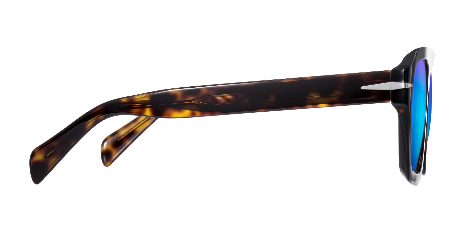 Side of Petenwell in Dark Tortoise with Blue Mirrored Lenses