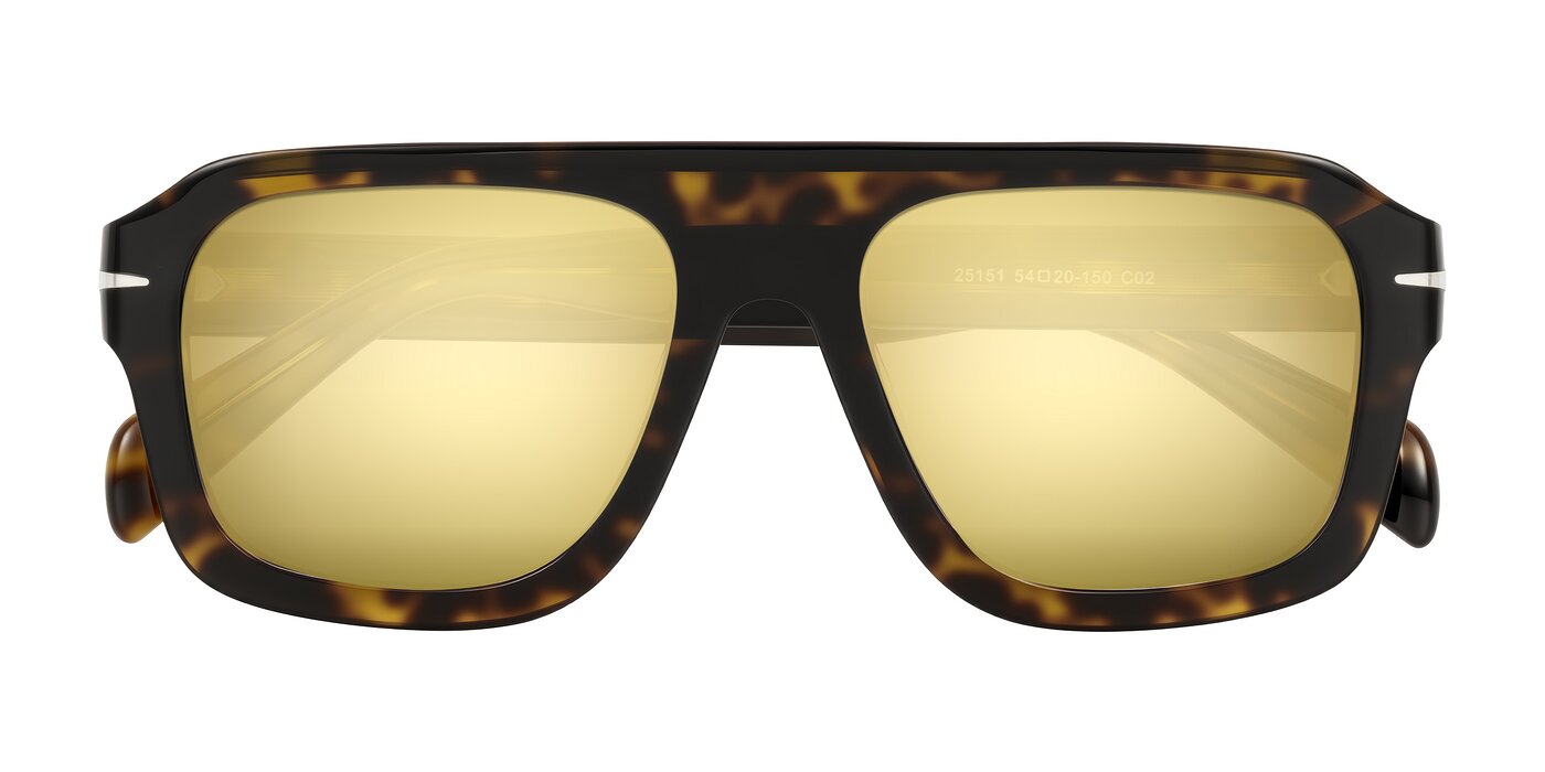 Petenwell - Dark Tortoise Flash Mirrored Sunglasses
