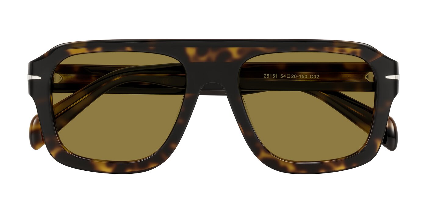 Petenwell - Dark Tortoise Polarized Sunglasses