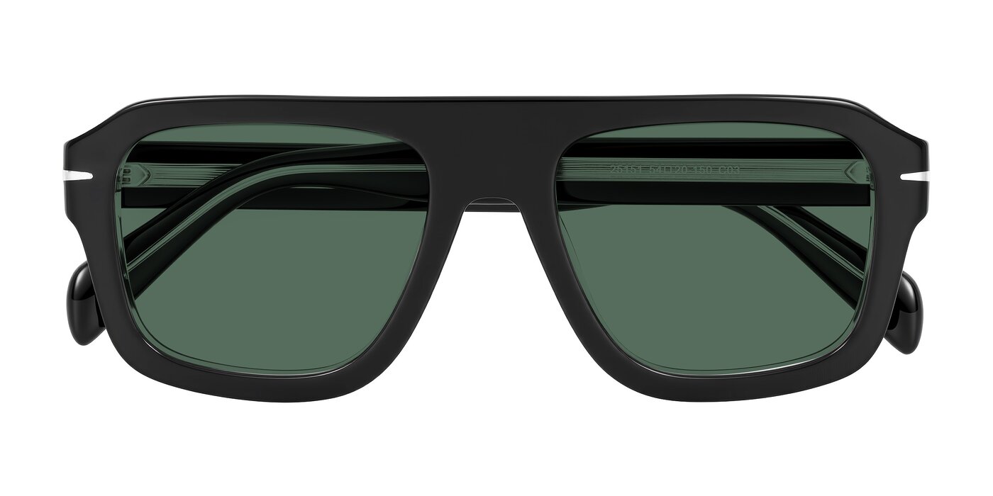 Petenwell - Black/Clear Polarized Sunglasses