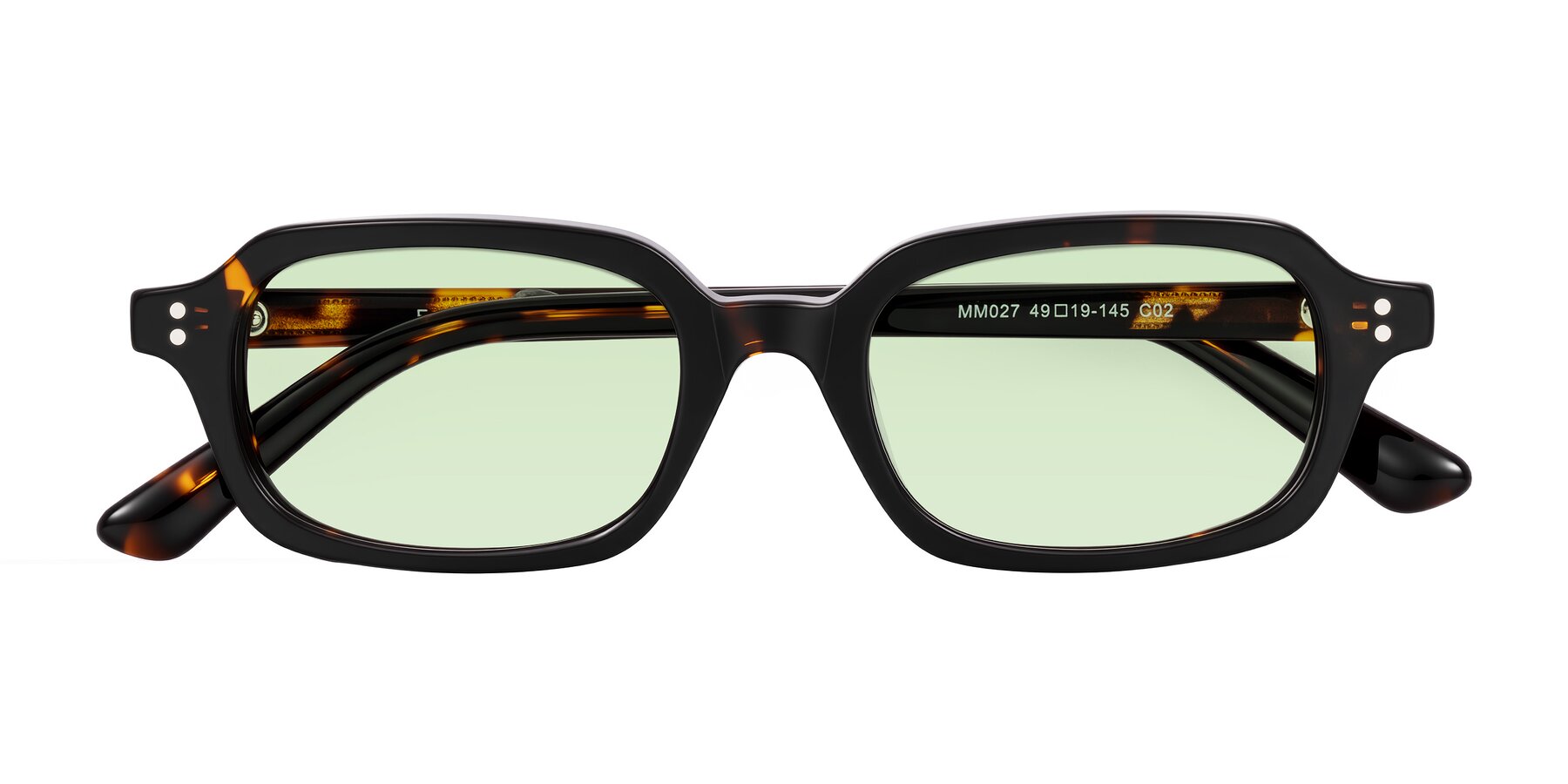 Folded Front of Eustis in Tortoise with Light Green Tinted Lenses