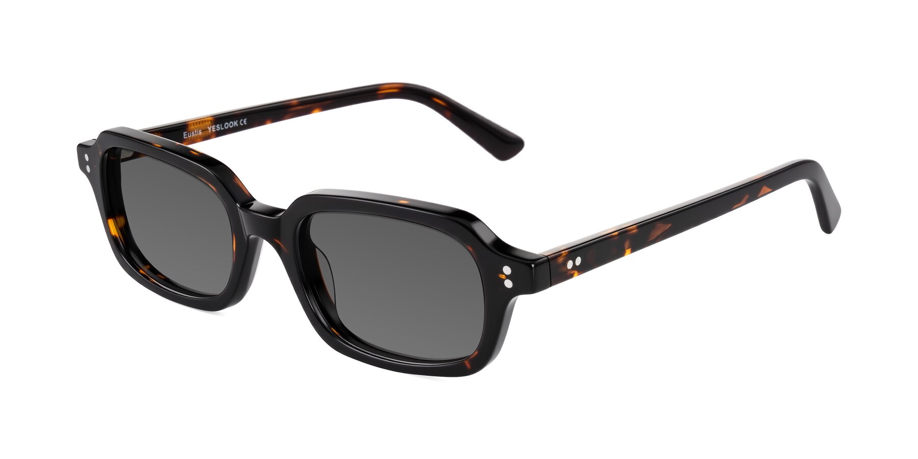Angle of Eustis in Tortoise with Medium Gray Tinted Lenses