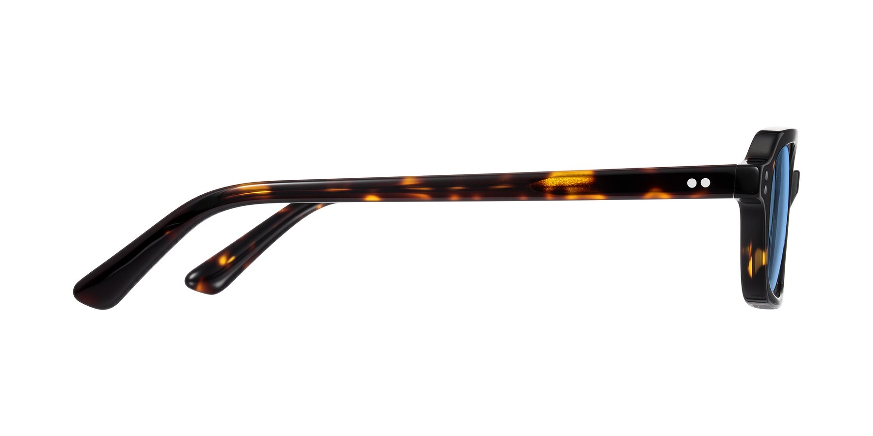 Side of Eustis in Tortoise with Medium Blue Tinted Lenses