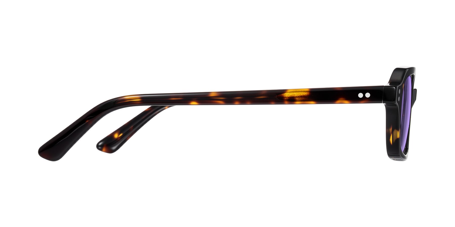 Side of Eustis in Tortoise with Medium Purple Tinted Lenses