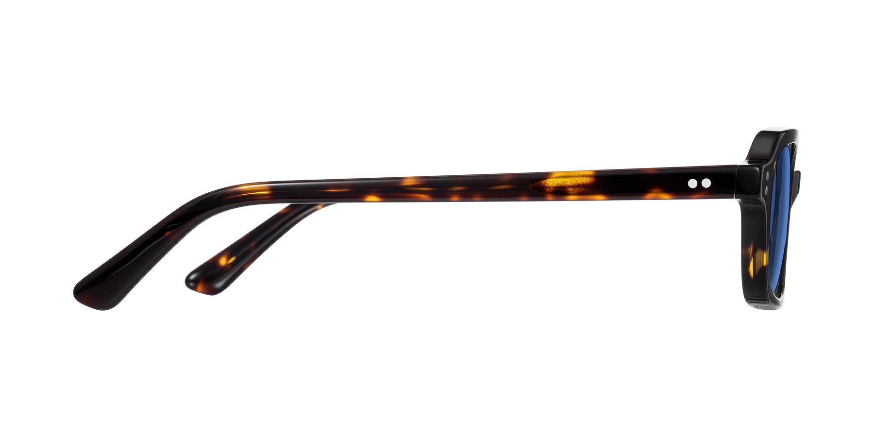 Side of Eustis in Tortoise with Blue Tinted Lenses