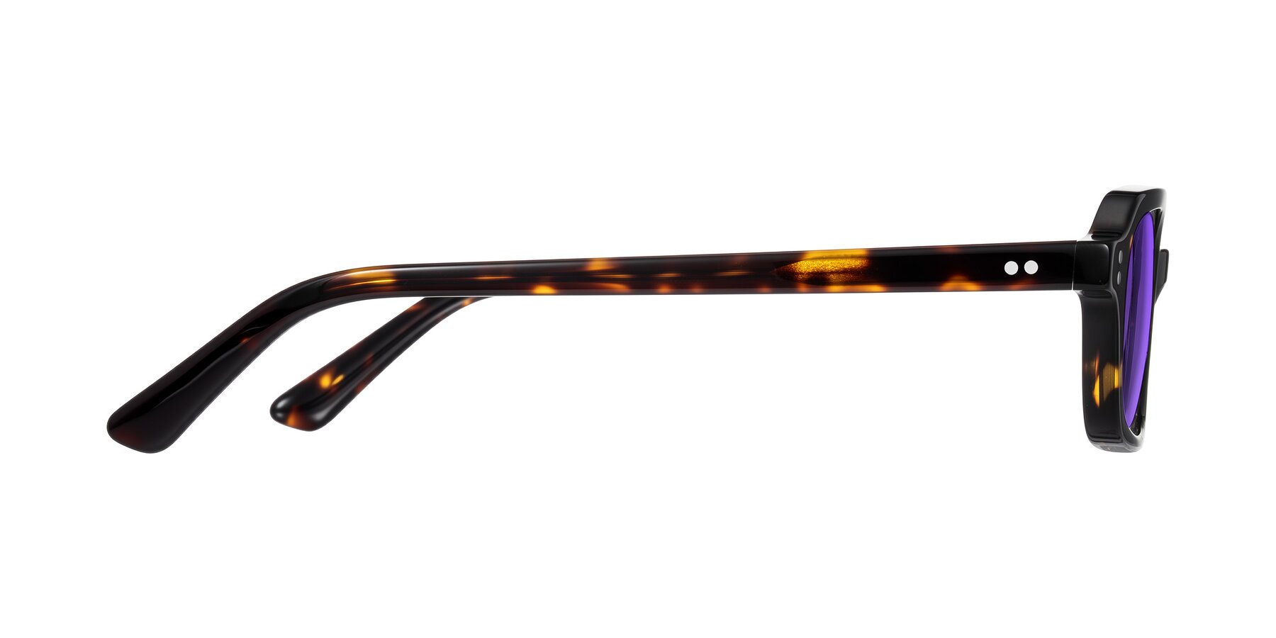 Side of Eustis in Tortoise with Purple Tinted Lenses