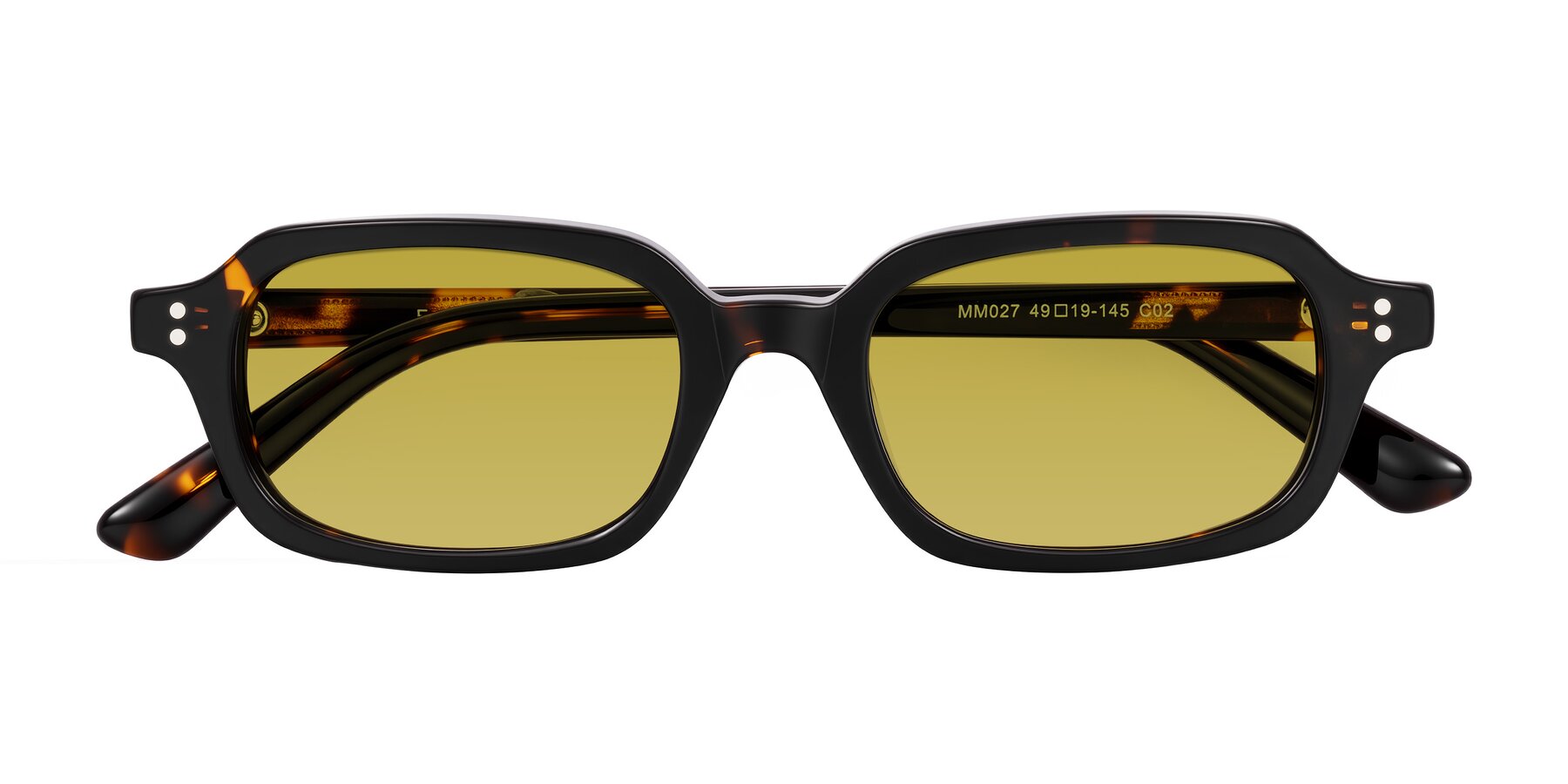 Folded Front of Eustis in Tortoise with Champagne Tinted Lenses
