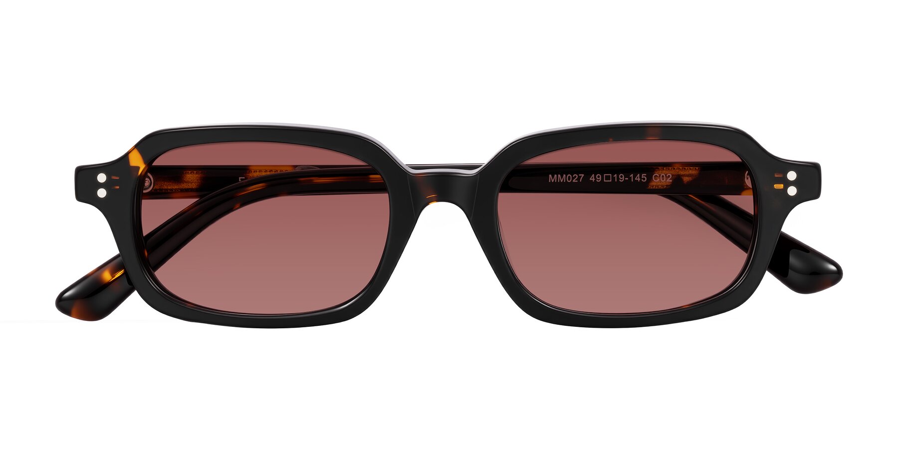 Folded Front of Eustis in Tortoise with Garnet Tinted Lenses