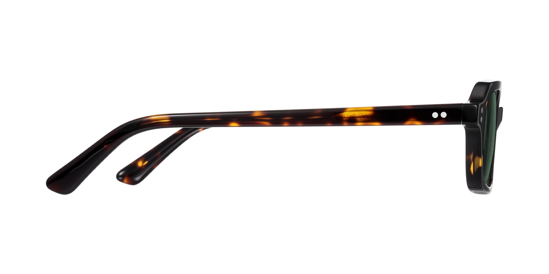 Side of Eustis in Tortoise with Green Polarized Lenses