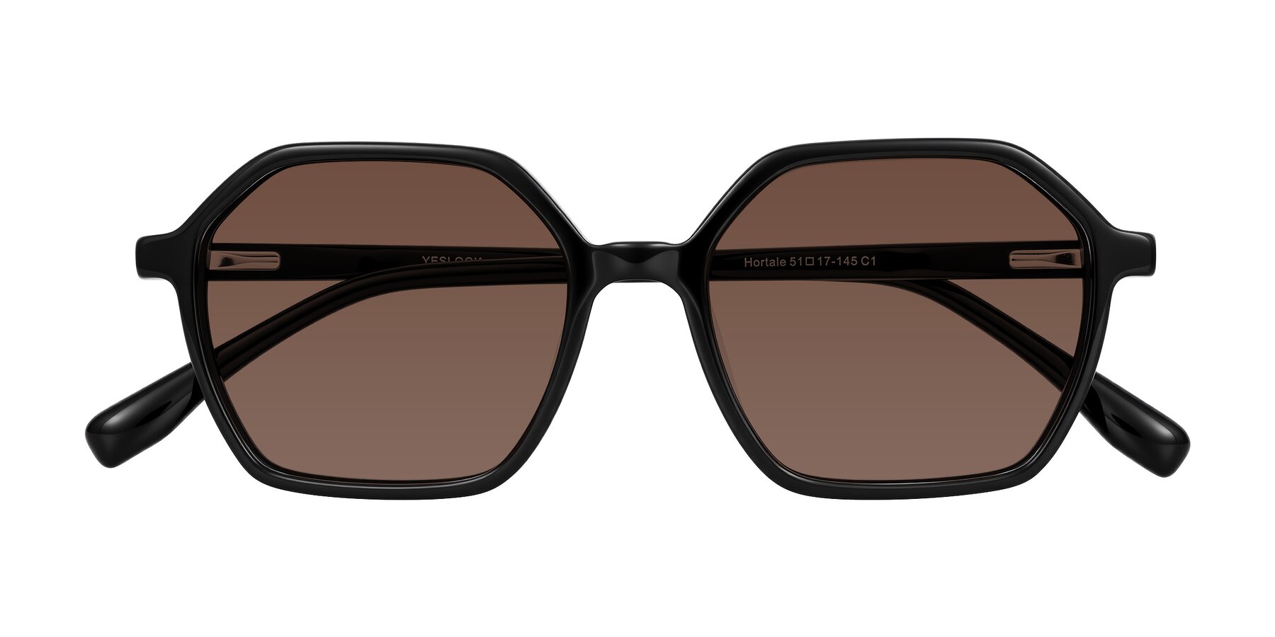 Folded Front of Hortale in Black with Brown Tinted Lenses