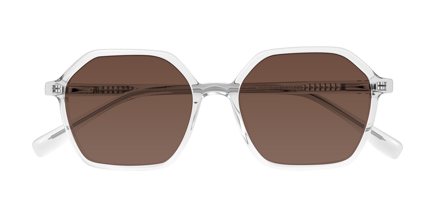 Hortale - Clear Tinted Sunglasses