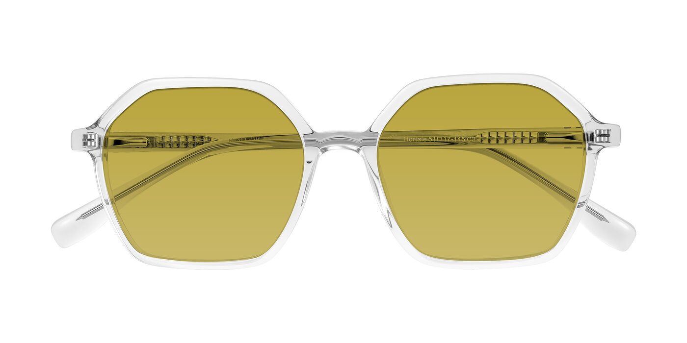 Hortale - Clear Tinted Sunglasses