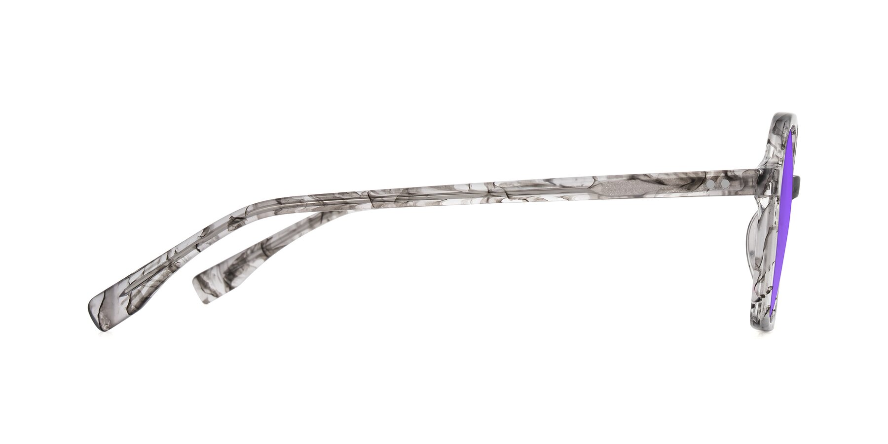 Side of Hortale in Gray Tortoise with Purple Tinted Lenses