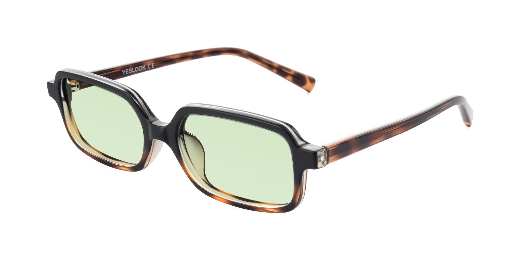 Angle of Garbott in Black/Tortoise with Light Green Tinted Lenses