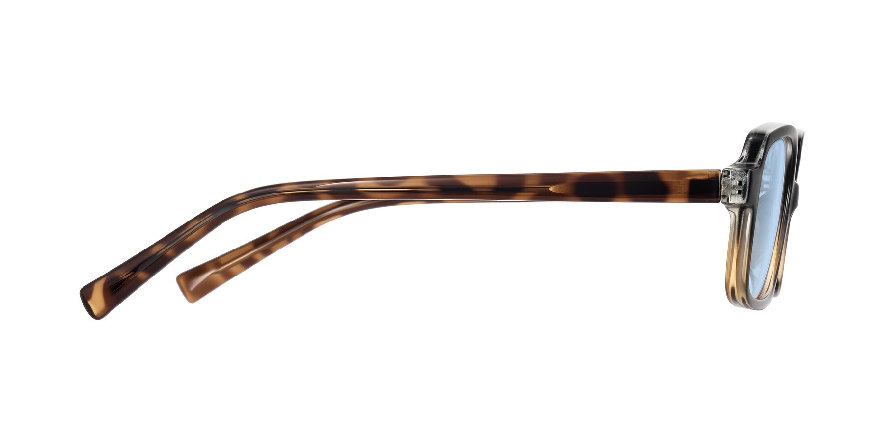 Side of Garbott in Black/Tortoise with Light Blue Tinted Lenses