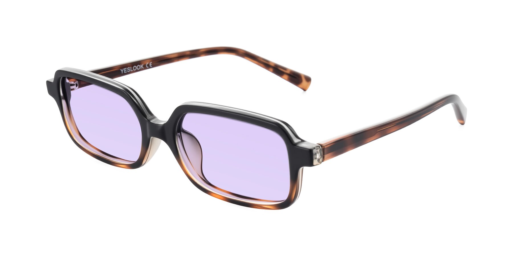 Angle of Garbott in Black/Tortoise with Light Purple Tinted Lenses