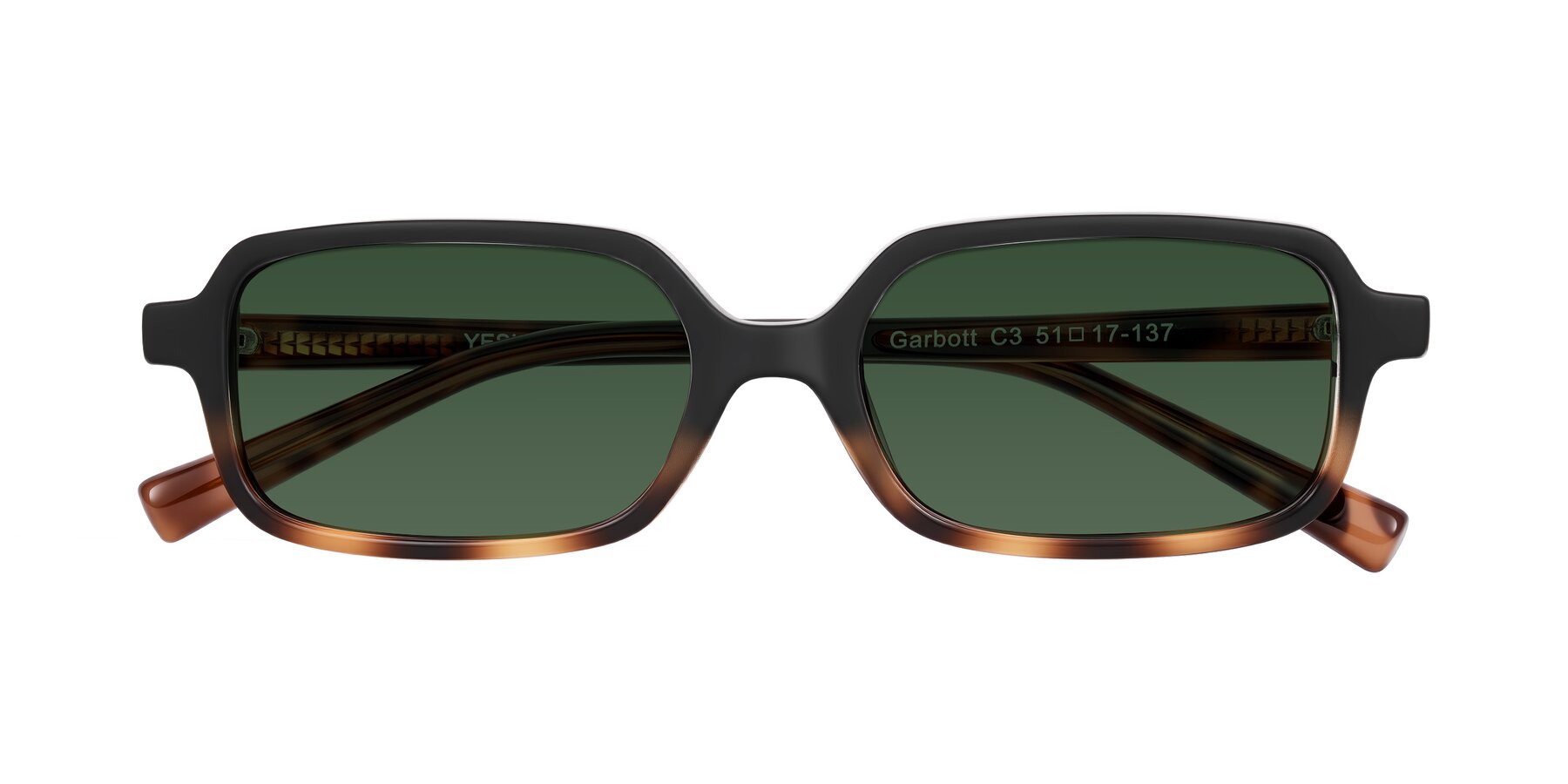 Folded Front of Garbott in Black/Tortoise with Green Tinted Lenses