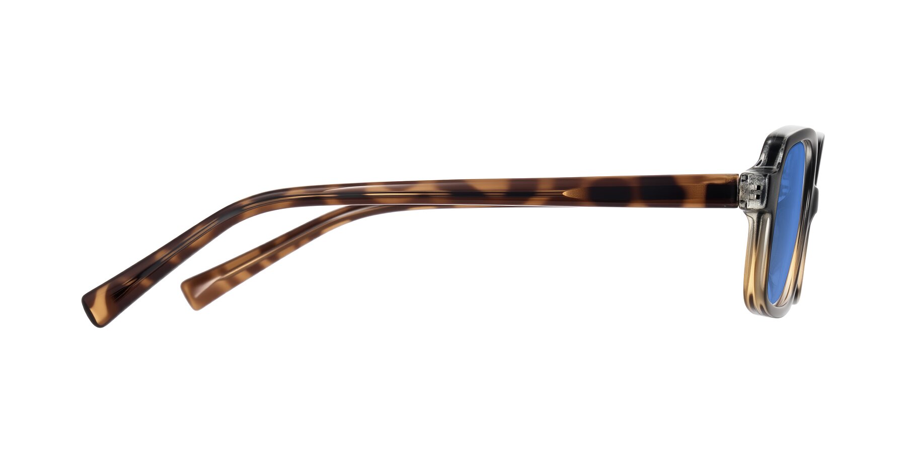 Side of Garbott in Black/Tortoise with Blue Tinted Lenses