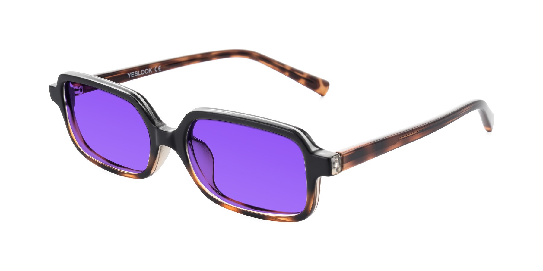 Angle of Garbott in Black/Tortoise with Purple Tinted Lenses