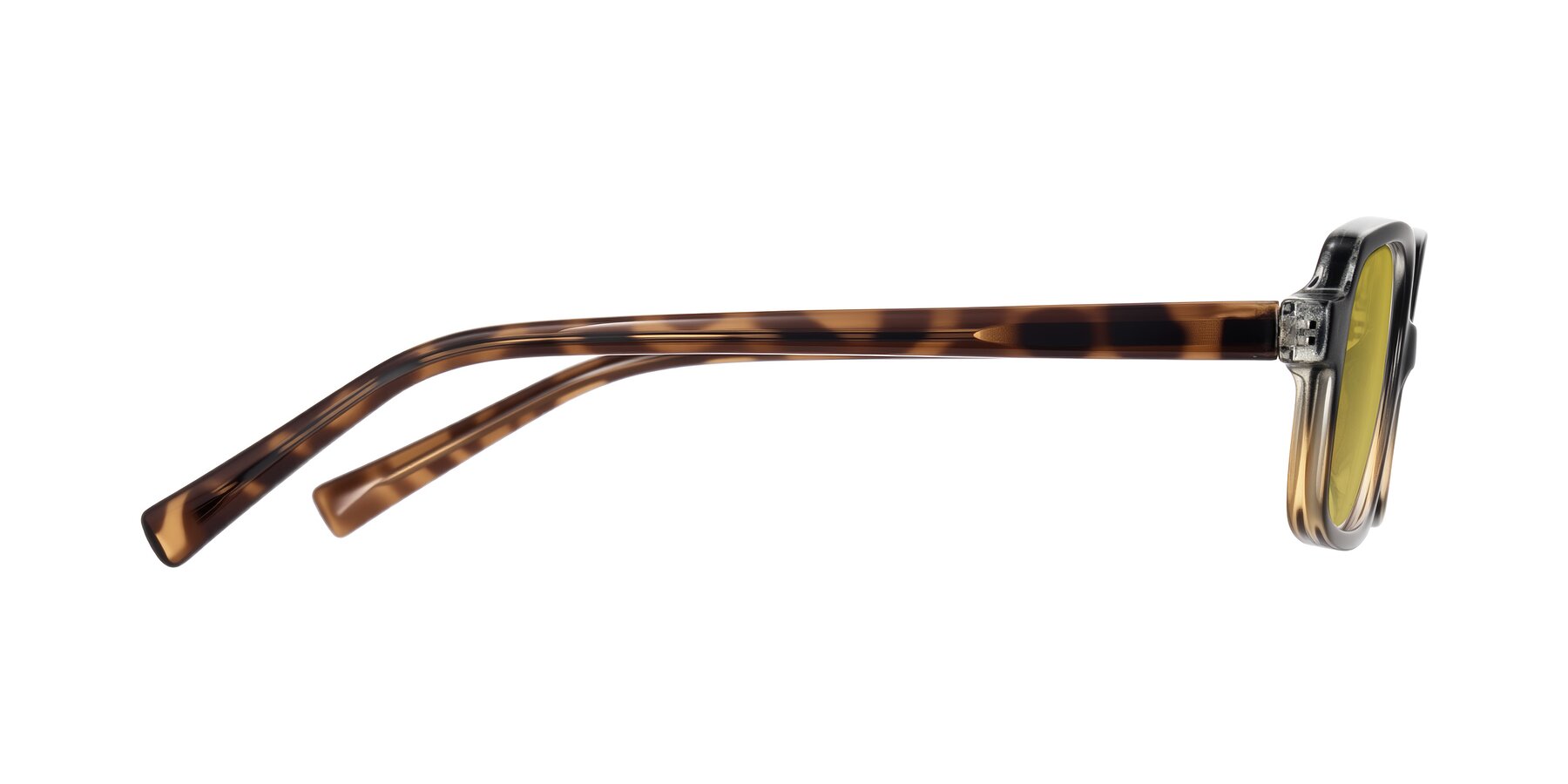 Side of Garbott in Black/Tortoise with Champagne Tinted Lenses