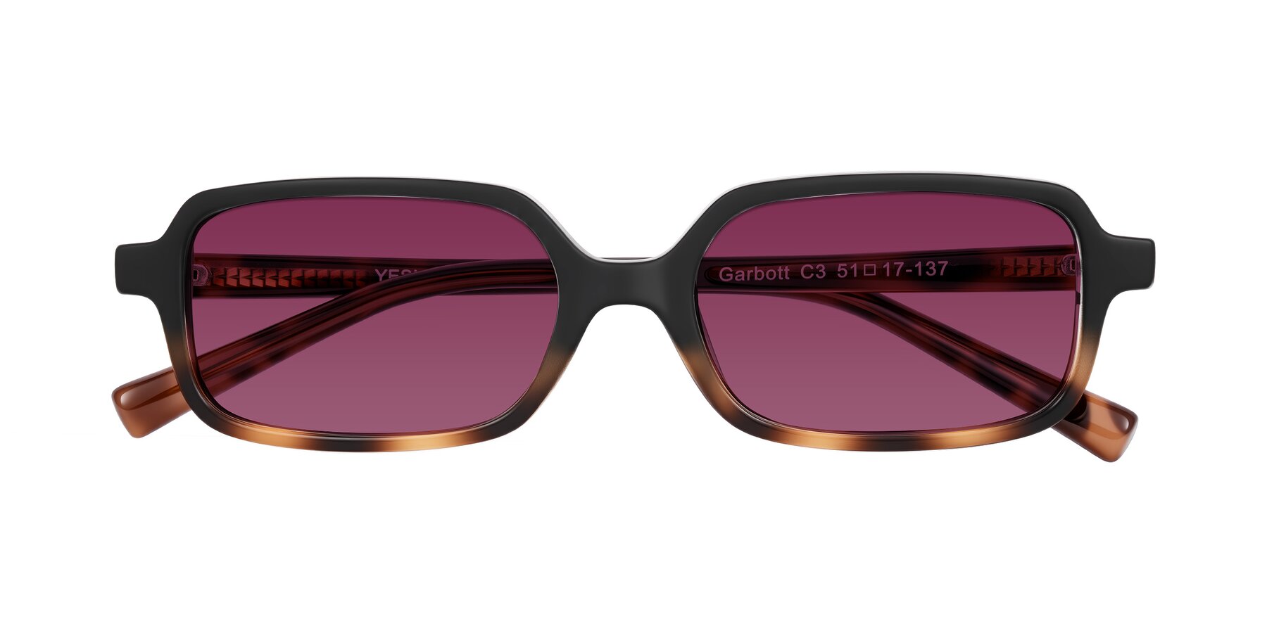 Folded Front of Garbott in Black/Tortoise with Wine Tinted Lenses